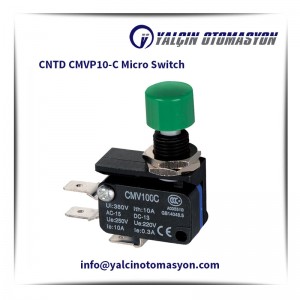 CNTD CMVP10-C Micro Switch
